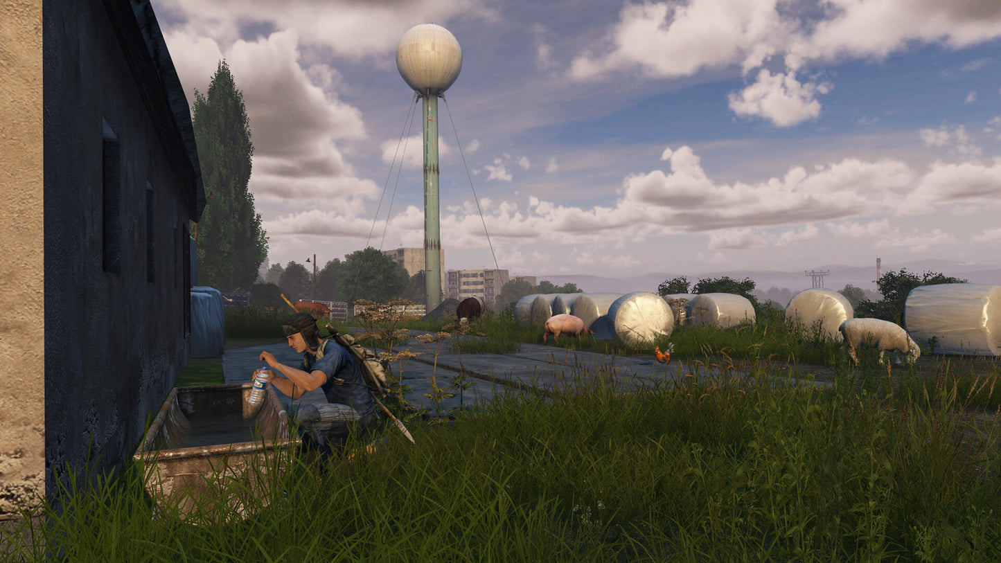 DayZ