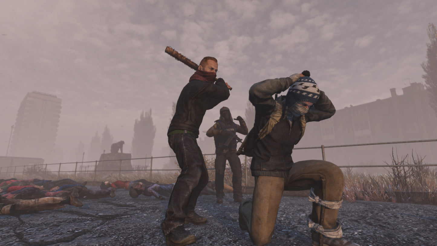 DayZ Frostline