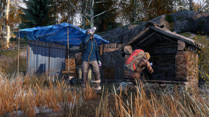 DayZ Frostline
