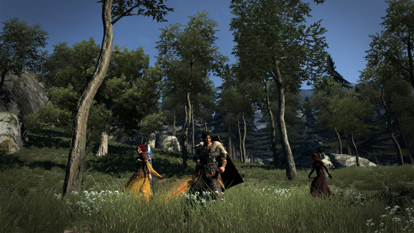 Dragon's Dogma: Dark Arisen