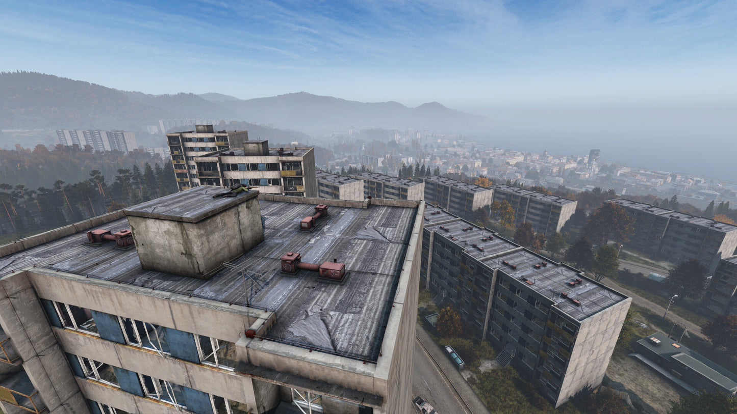 DayZ