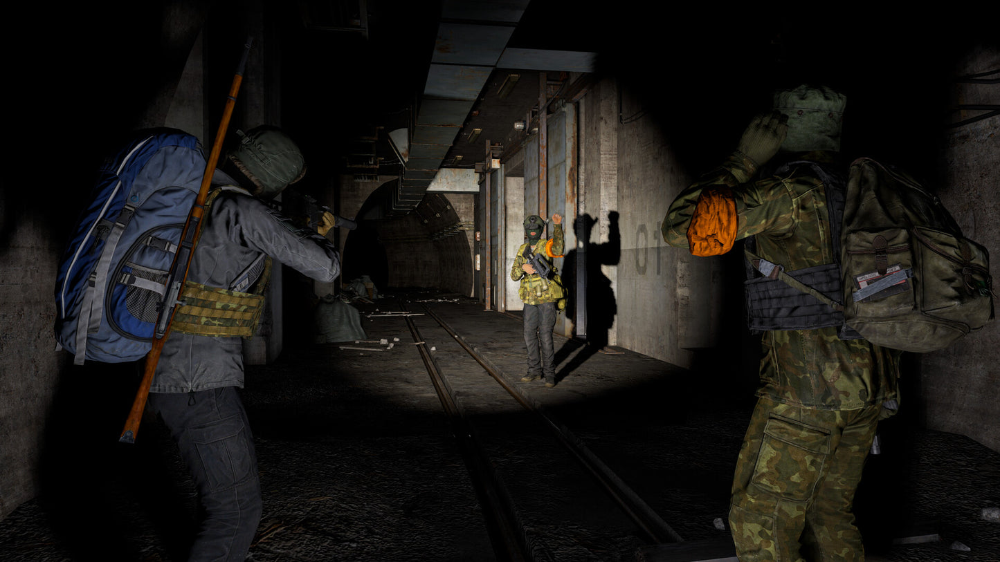 DayZ